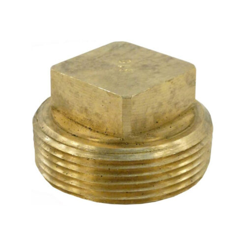 Raypak 013738F Unitherm Governer Plug