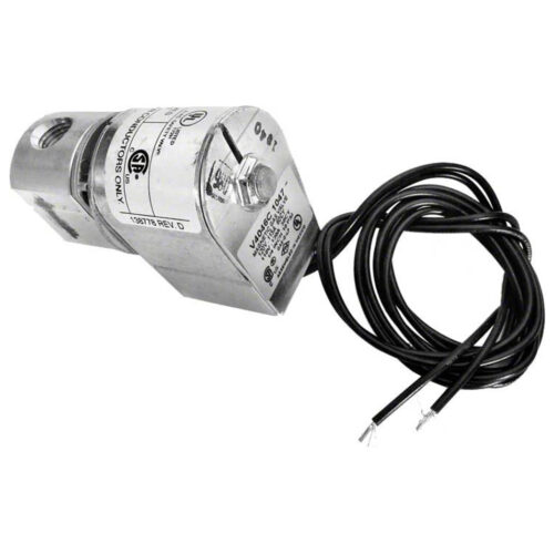 Raypak-600154-Pilot-Gas-Valve,-120V