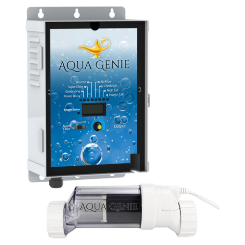 Swimming Pool Sanitation