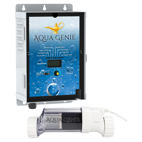 Swimming Pool Sanitation