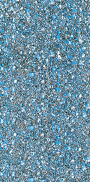 Reef Inground Pool Liner