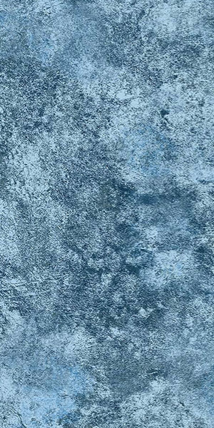 Tidal Paws Inground Pool Liner